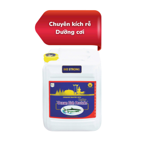 DỊCH CÁ CAN 3 TỐT