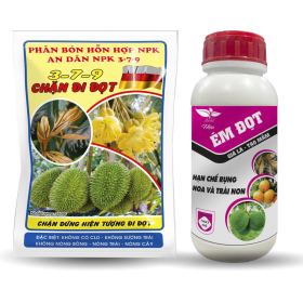 BỘ ĐÔI CHẶN ĐI ĐỌT - ÉM ĐỌT AN DÂN