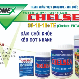 CHELSEA NPK - TRUNG - VI LƯỢNG 30-10-10+TE (CHELATE EDTA) BOLY