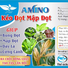 AMINO - KÉO ĐỌT MẬP ĐỌT 500ML AN DÂN