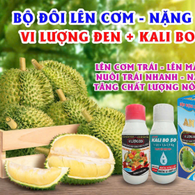 BỘ ĐÔI LÊN CƠM - NÂNG KÝ (VI LƯỢNG ĐEN + KALI 50) AN DÂN