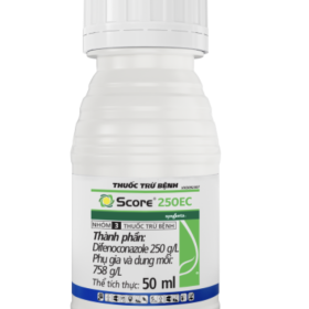THUỐC TRỪ BỆNH SCORE 250EC 50ML