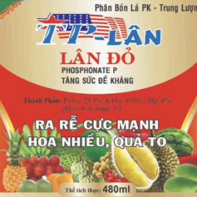 PHÂN BÓN TP - LÂN ĐỎ