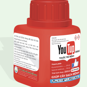 THUỐC TRỪ BỆNH YOUTUP 250EC
