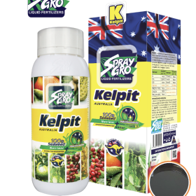 PHÂN BÓN LÁ KELPIT - CHAI 500ML