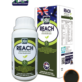 PHÂN BÓN LÁ REACH - CHAI 250ML 