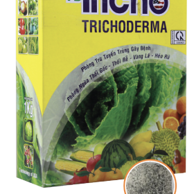 PHÂN BÓN HỮU CƠ VI SINH TB-TRICHO 