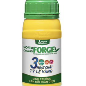 ORGANO FORGE HỢP TRÍ