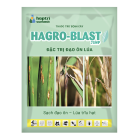 THUỐC TRỪ BỆNH HAGRO BLAST 75WP