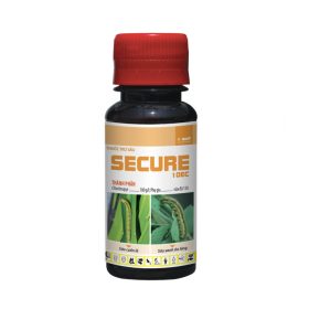 SECURE HỢP TRÍ