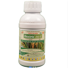 THUỐC TRỪ BỆNH HEXTRIC® 250 SC - Phòng trị đạo ôn, khô vằn, lem lép hạt lúa
