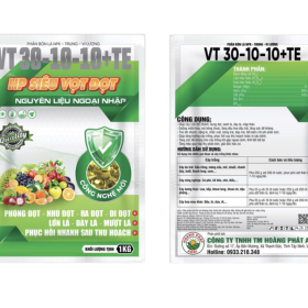 HP SIÊU VỌT ĐỌT VT-30-10-10+TE 1KG HOÀNG PHÁT