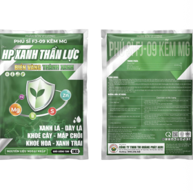 HP XANH THẦN LỰC FJ-09 KẼM MG 1KG HOÀNG PHÁT