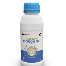 PHÂN BÓN LÁ BASFOLIAR® BORON SL