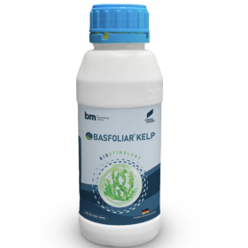 PHÂN BÓN NPK HỮU CƠ BASFOLIAR® KELP SL