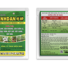 THUỐC TRỪ SÂU BINHDAN 95 WP