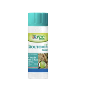 THUỐC TRỪ BỆNH MOLTOVIN 380SC