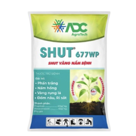 THUỐC TRỪ BỆNH SHUT 677WP 
