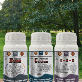 BỘ 3 AN DÂN PREMIUM 8-8-8 – BORON PREMIUM – CALCIUM PREMIUM