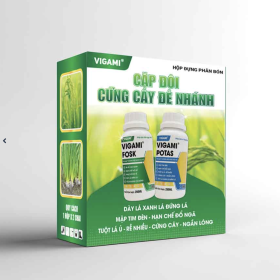 CẶP ĐÔI CỨNG CÂY ĐẺ NHÁNH VIGAMI® FOSK + VIGAMI® POTAS 