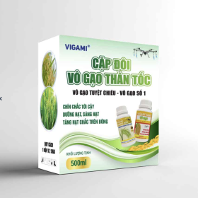 CẶP ĐÔI VÔ GẠO THẦN TỐC VIGAMI® KAMI VÔ GẠO + VIGAMI® AMINO ACID 