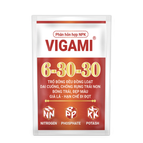 PHÂN HỖN HỢP NPK VIGAMI® 6-30-30 GÓI 250G