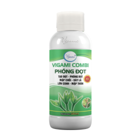 PHÂN BÓN VIGAMI® COMBI SIÊU PHÓNG ĐỌT 