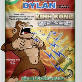 DYLAN  10WG