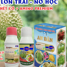 BỘ ĐÔI TO TRÁI + AMINO PREMIUM AN DÂN 