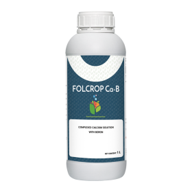 PHÂN BÓN VI LƯỢNG FOLCROP CA-B 