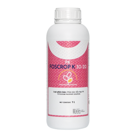 PHÂN BÓN HỖN HỢP PK FOSCROP K 30-20 
