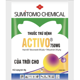THUỐC TRỪ BỆNH ACTIVO 750WG