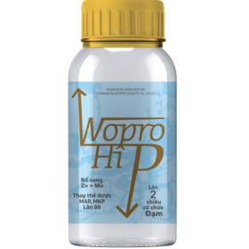 PHÂN BÓN LÁ WOPRO HI P