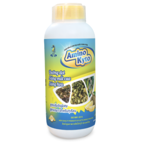 AMINO KYTO ISO 1L SITTO