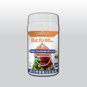 Thuốc trừ bệnh BACBA 85WP Hộp 500g 
