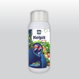 Phân bón KELPIT CHAI 500ML 