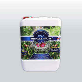 Phân Bón TOBA MIRACLE GROW Thanh Long 5 LÍT
