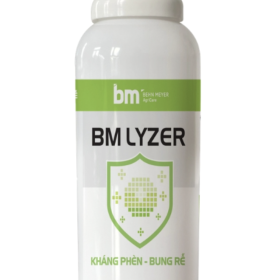 Phân bón hữu cơ BM LYZER