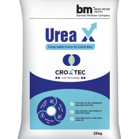 Phân Urê BM UREA GOLD Hiệu Urea X