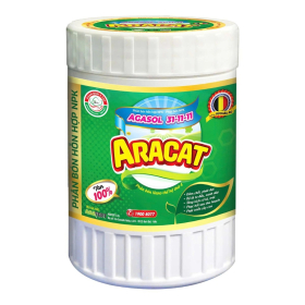 ARACAT 31 11 11 3TỐT