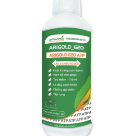 ARIGOLD 620 ATP
