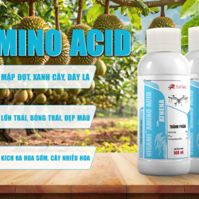 VIGAMI® AMINO ACID - ATHENA