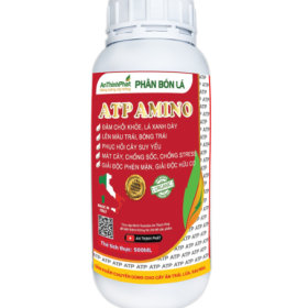 ATP AMINO  ATP AMINO  ATP AMINO   ATP AMINO