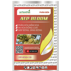 ATP BLOOM