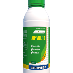 ATP VILL 10