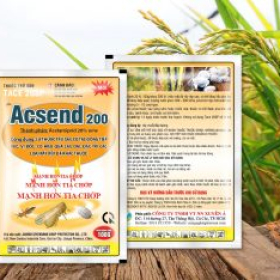 ACSEND 200SP