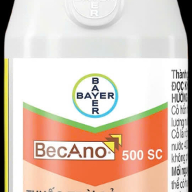 BECANO 500 SC 29 100ML BAYER