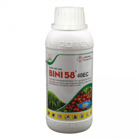 BINI 58 – 40EC