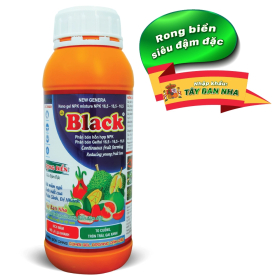BLIACK 3 TỐT