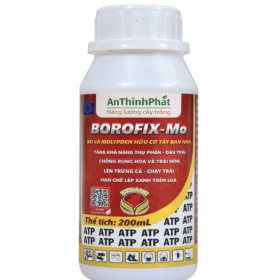 BOROFIX - MO